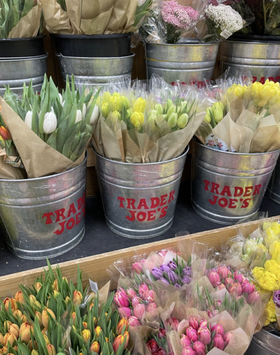 Trader Joe's Spring Flowers
